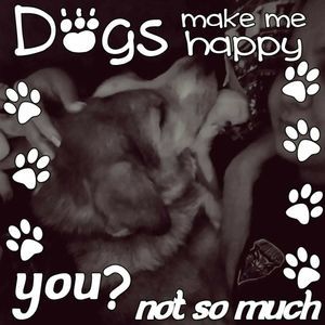 Meet your Posher, Daphne